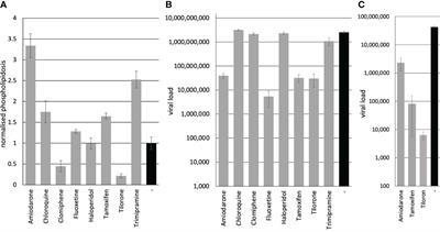 Drug-induced phospholipidosis is not correlated with the inhibition of SARS-CoV-2 - inhibition of SARS-CoV-2 is cell line-specific